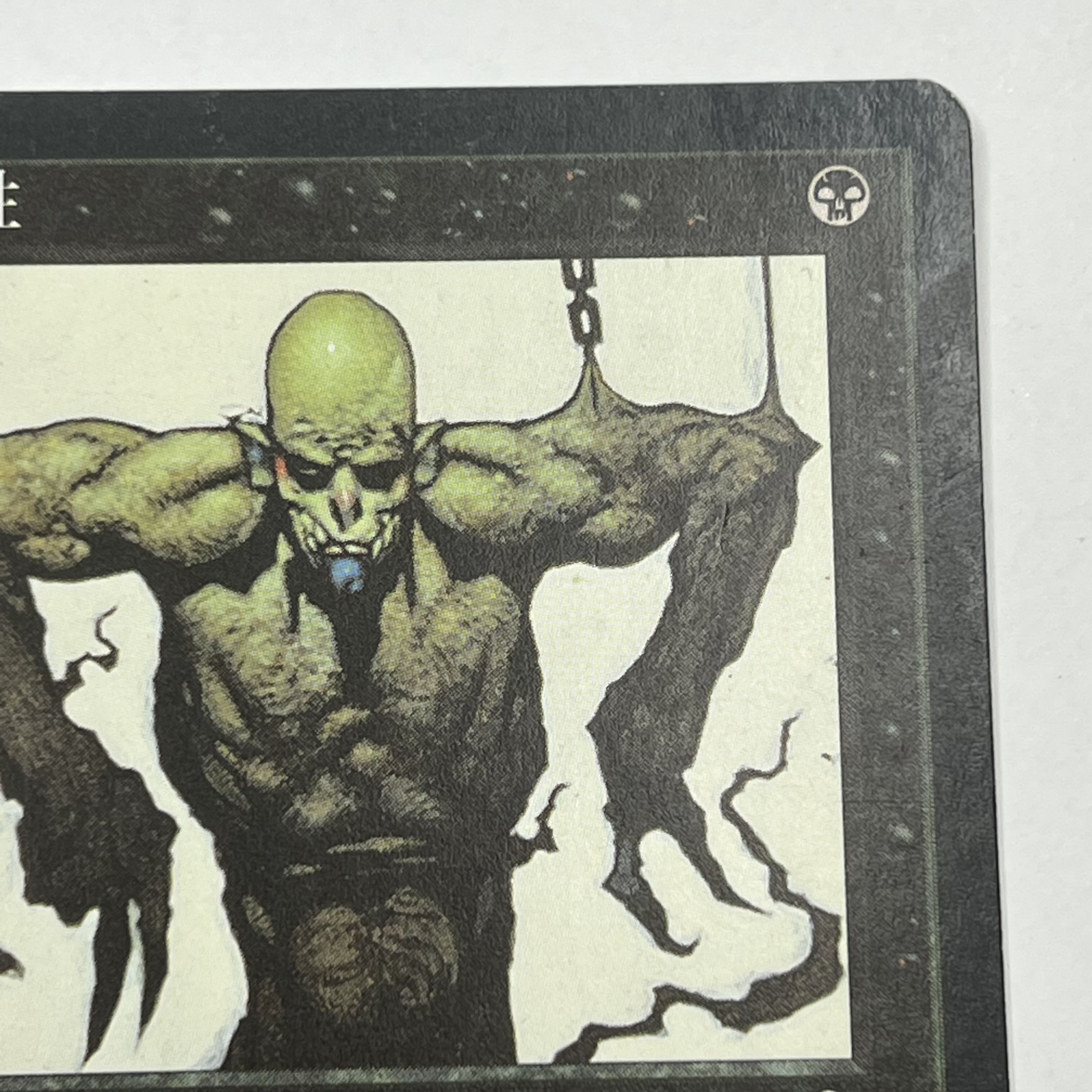 TMP/JA] Reanimate/Reanimate x 2