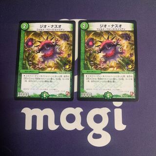 geo naso c p13/y12 1枚