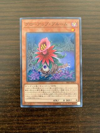 Glow-Up Bloom Super Rare