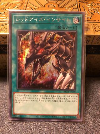 Red-Eyes Insight Secret Rare JP010