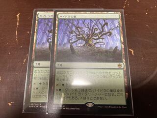 Lair of the Hydra, set of 2, rare 259/281