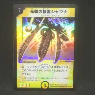 光輪の精霊シャウナ＠000103