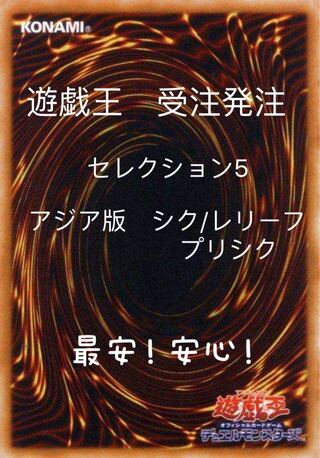 ナカヤマパイレーツ様専用 1枚