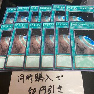 テラ・フォーミング 23592 1枚