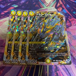 Dolan Gorgini OR OR2/OR2