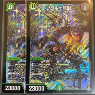 Ryuki Brachio SR S5/S11