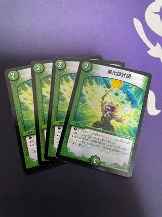 進化設計図 R 25/71