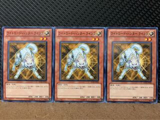 Popotan] Yu-Gi-Oh! 4885 Ryko, Lightsworn Hunter 3 normal