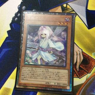 さくら絵違いコレクターズ