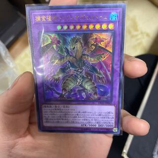 捕食植物トリフィオヴェルトゥム