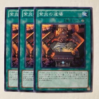 紫炎の道場　$858