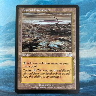 MTG Blasted Landscape