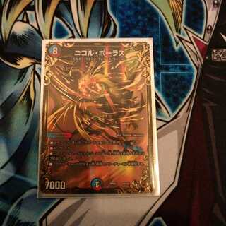 ニコルボーラス