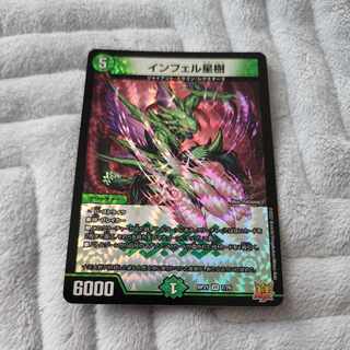 Infelix star tree (species of sedge, Infelix infelix)