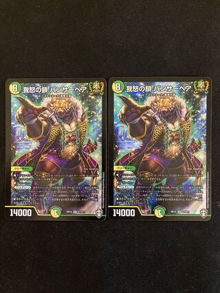 我怒の鎖 パンサーベア SR S7/S11 2枚