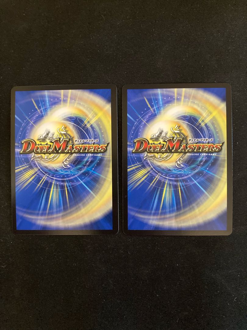 我怒の鎖 パンサーベア SR S7/S11 2枚