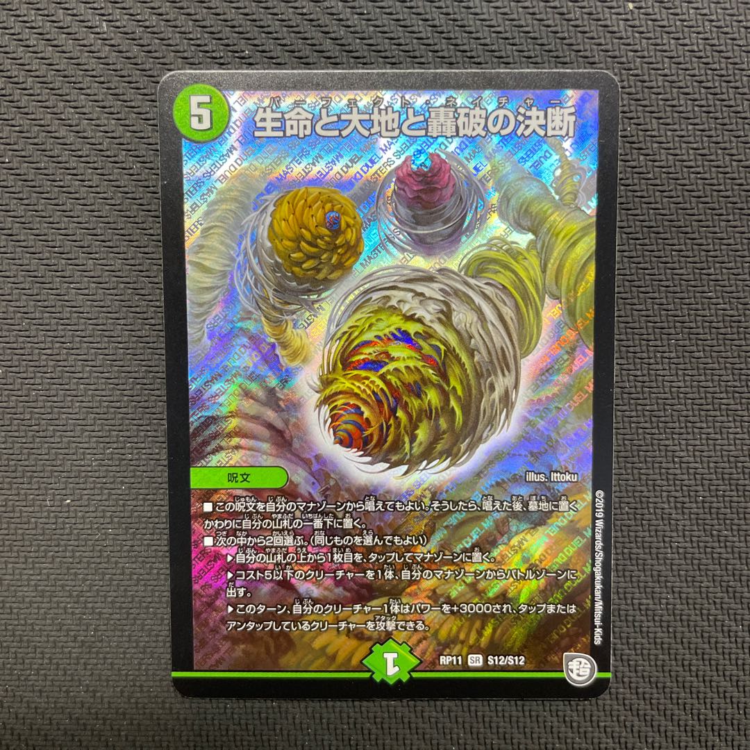 Life Life, Earth and Roaring Decision SR S12/S12