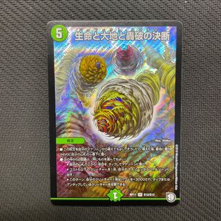 Life Life, Earth and Roaring Decision SR S12/S12