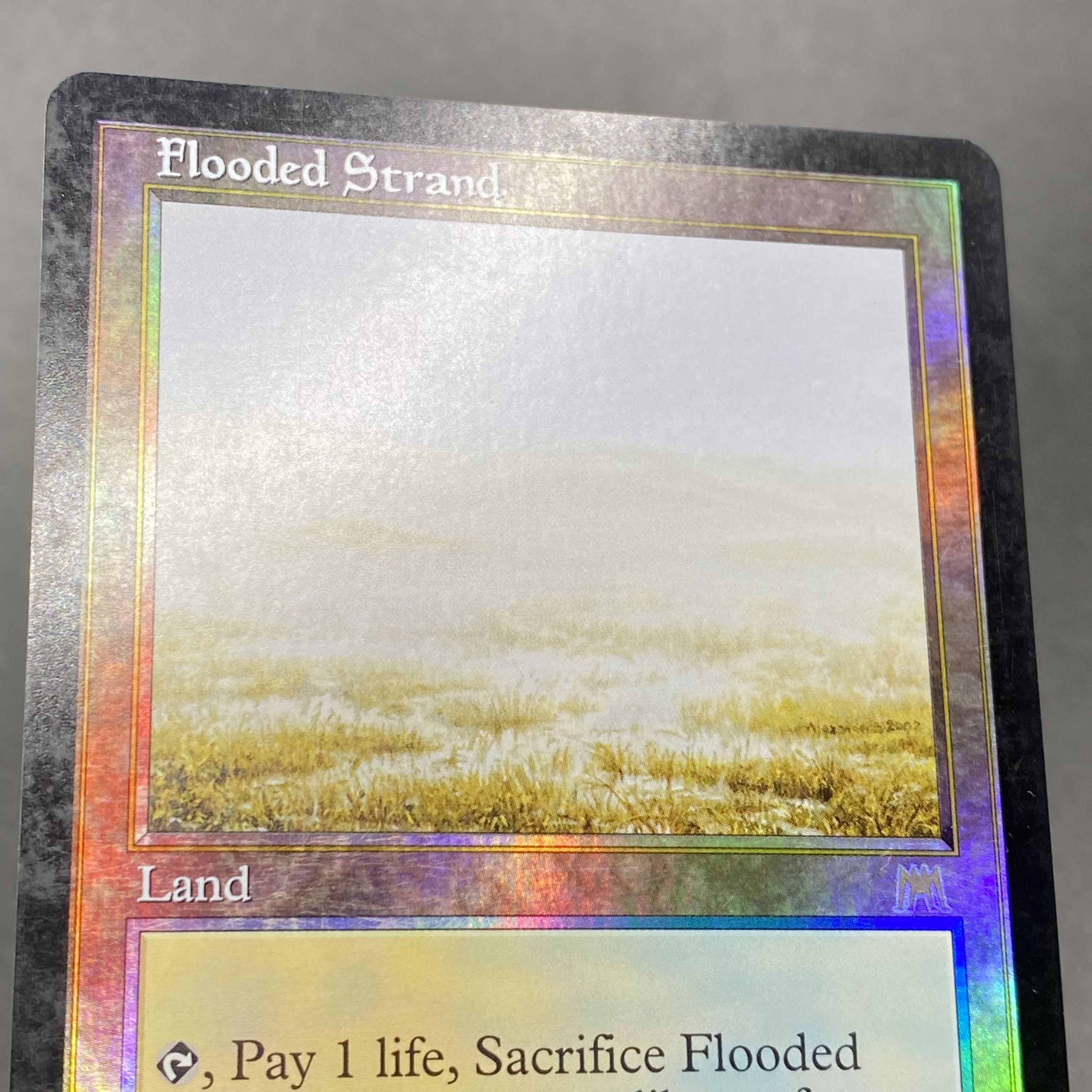 Flooded Strand Flooded Strand ONS Foil EN