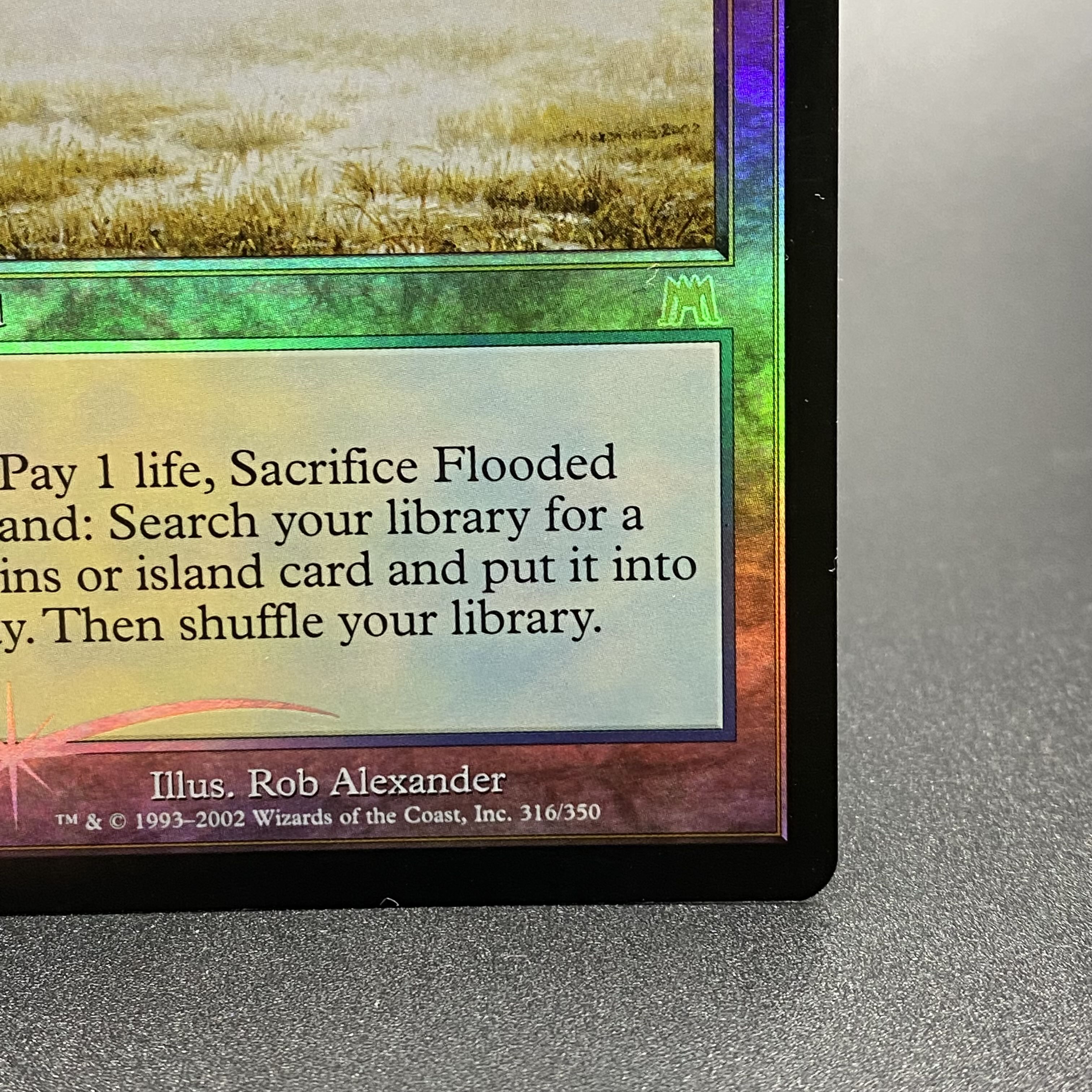 Flooded Strand Flooded Strand ONS Foil EN