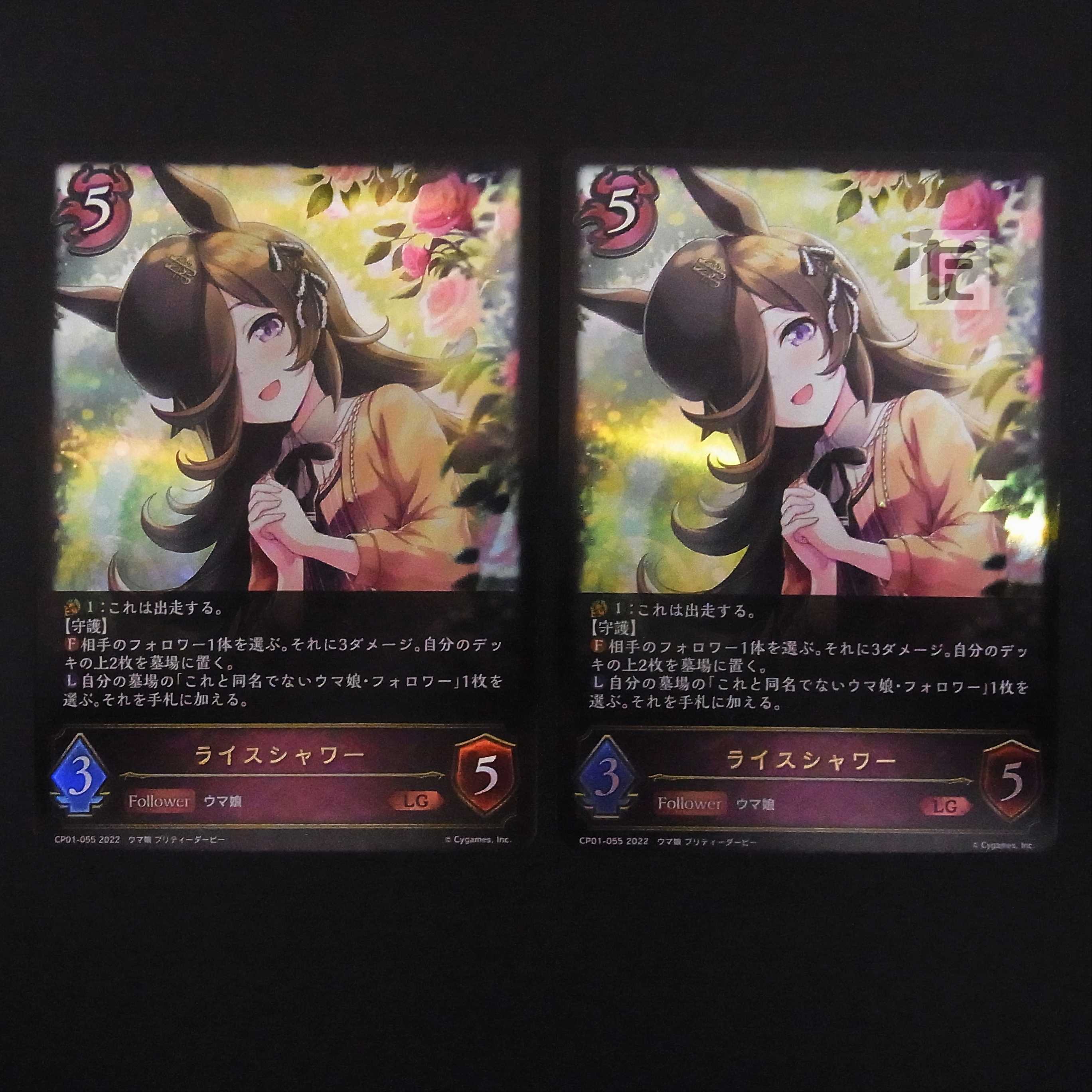 Rice Shower LG 2-pce set /Managed by MS0196