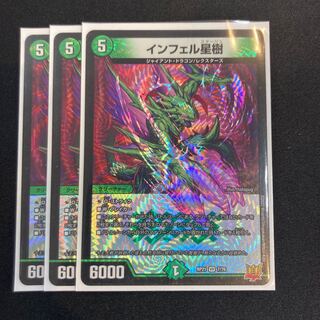 Infelix star tree (species of sedge, Infelix infelix)