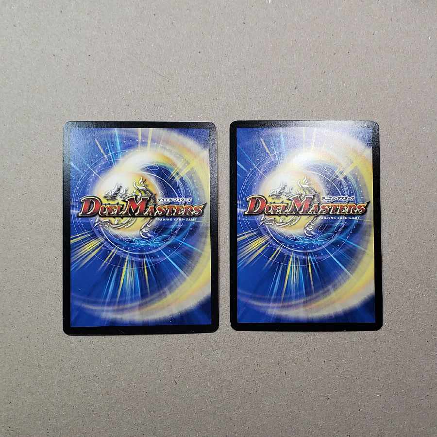 Samurai family Samurai order Stejura