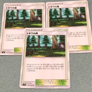 トキワの森 2枚