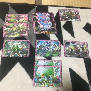 木のオレガオーラバラ売り