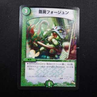 豊潤フォージュン