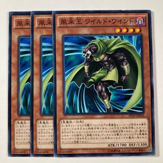 Wandering King Wildwind $933 1枚