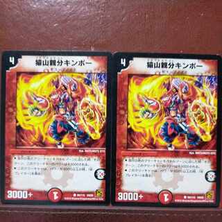 etf2255セット割引　猿山親分キンポー C 96/110