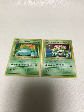 Venusaur Old Back Early