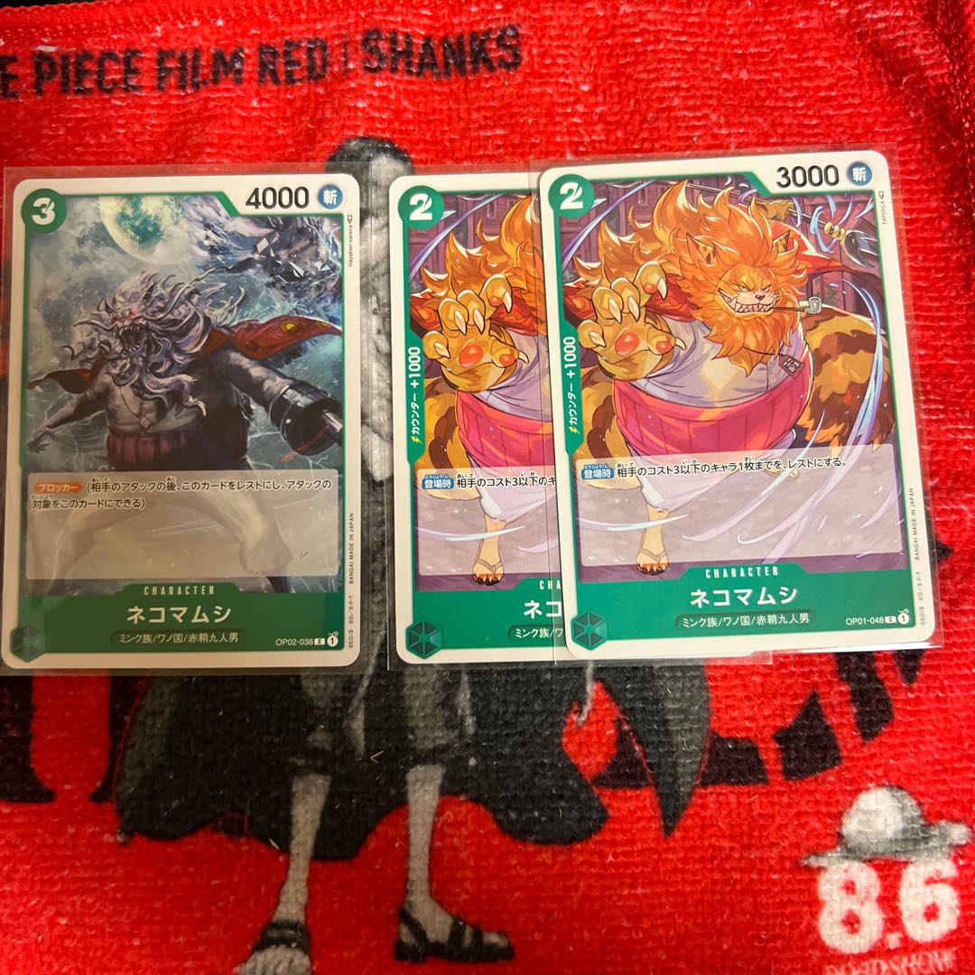 Pseudobagrus ichikawai (species of catfish)