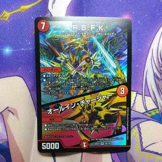 R.S.F.K.｜All-in Charger VR 30/130