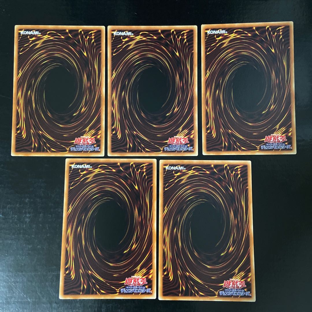 Dynorphia shell, normal, JP071, set of 5