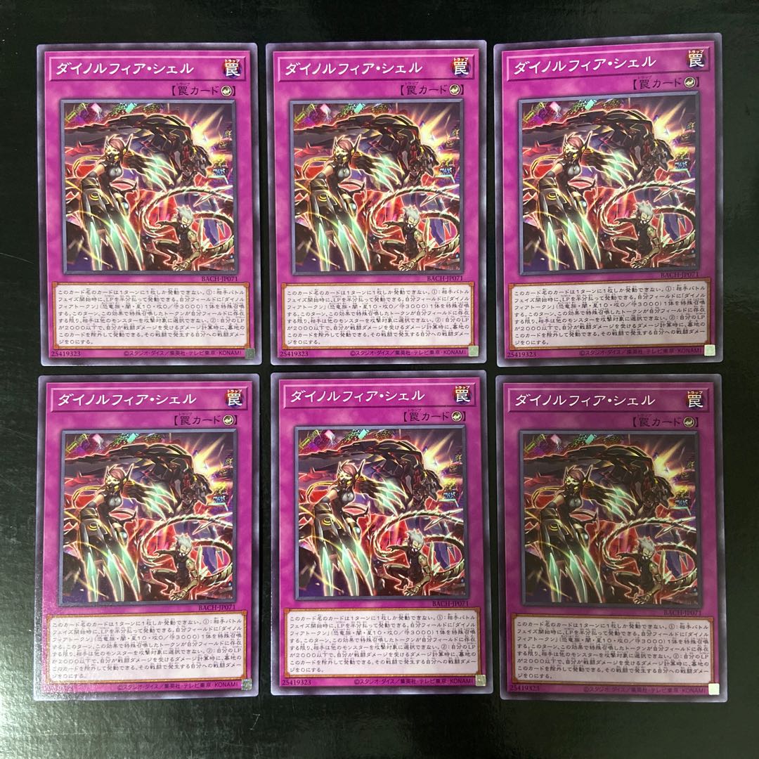 Dinorphia shell, normal, JP071, set of 6