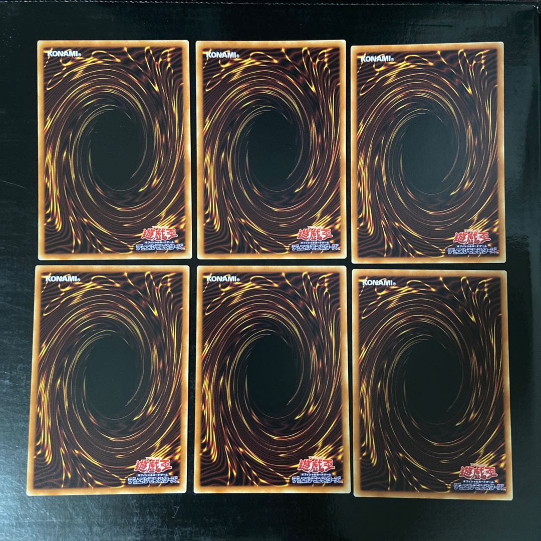 Dinorphia shell, normal, JP071, set of 6