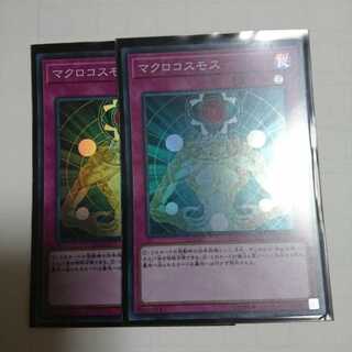 マクロコスモス