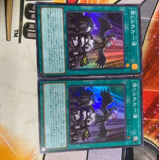 Forbidden Droplet Super Rare JP065