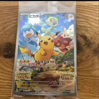 ピカチュウ プロモ スカーレット」の激安通販 | magi