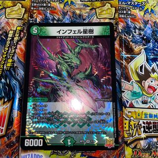 Infelix star tree (species of sedge, Infelix infelix)