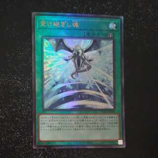 Successor Soul Ultimate Rare JP008 [Korindo