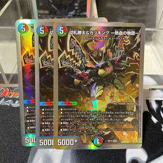 切札勝太&カツキング -熱血の物語- DSR 1/14