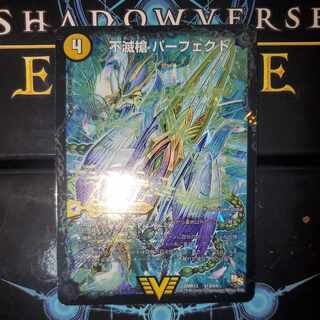 Indestructibility Spear Perfect｜Everlast, King of Heaven's Life