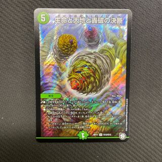 Life Life, Earth and Roaring Decision SR S12/S12