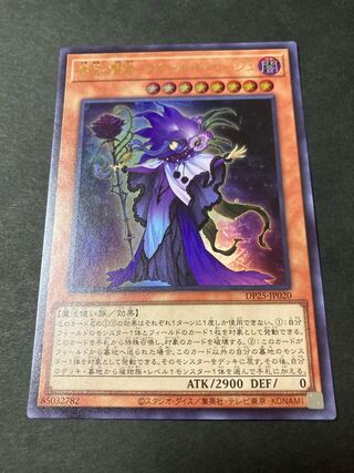 Sage of Time Flower - Fleur de Sage Ultra Rare JP020