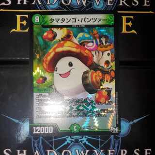 Ta Mushroom Man #2, Panzer