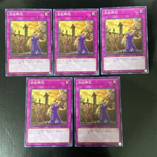 Liberty at Last! Normal JP033, set of 5