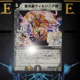 Sir Magic Mushroom Virginie Promo